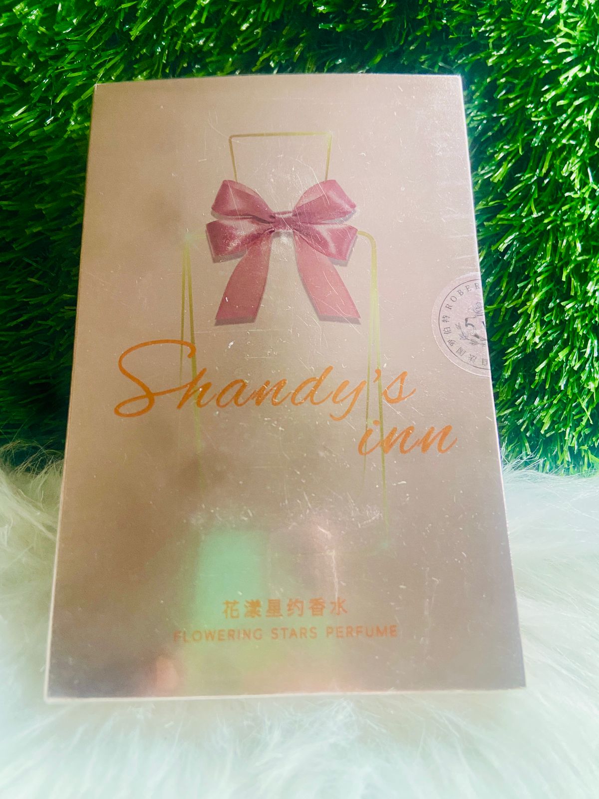 Shandys Inn